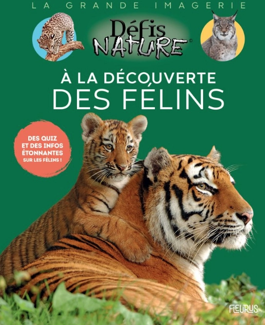 À la découverte des félins